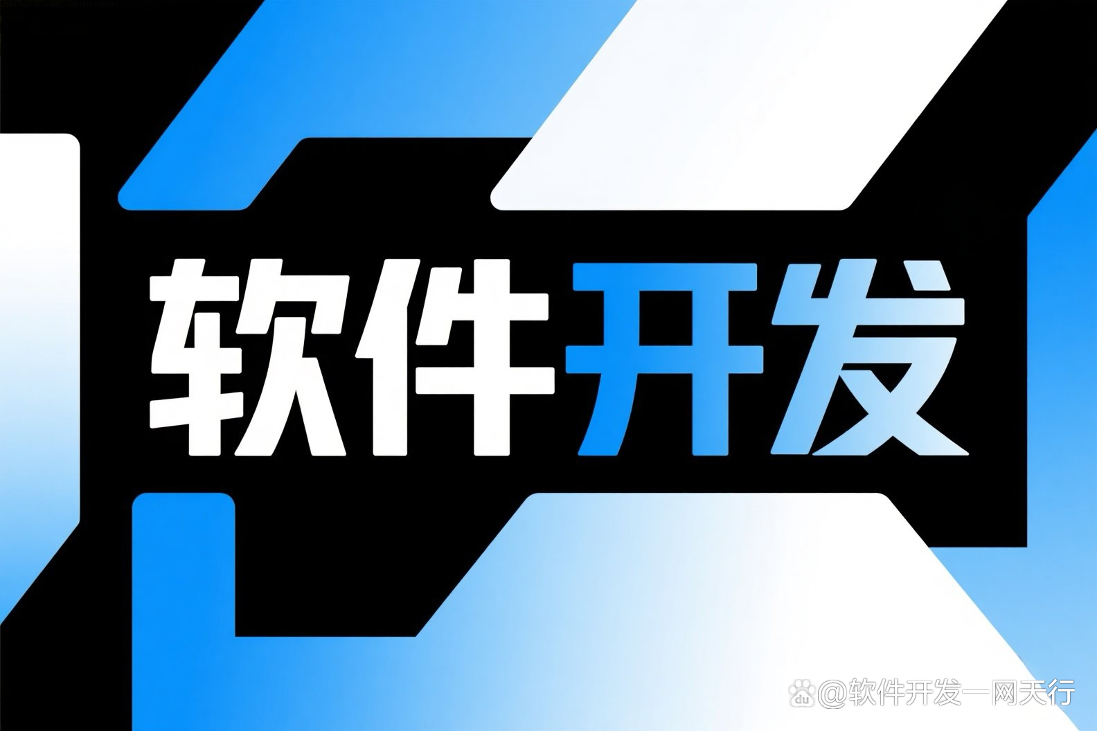 宠物服务软件定制开发费用解析与综合考量